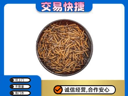 大连市金州回收散虫草